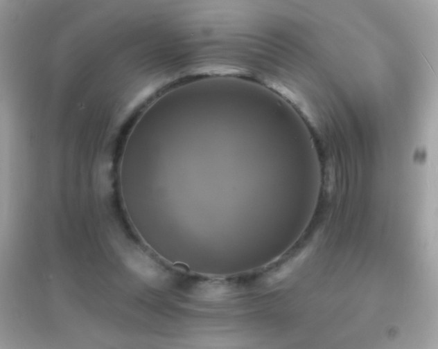 X0000095110351200712071222