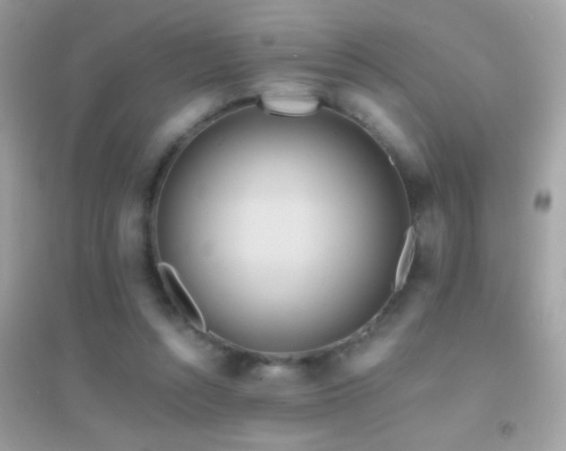 X0000095110352200712071222