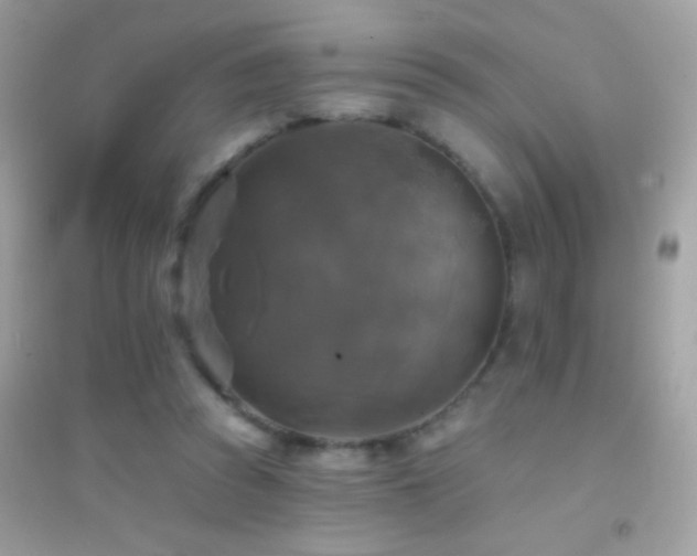 X0000095110353200712071222