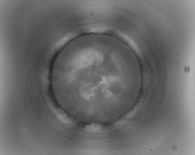 X0000095110354200712071222