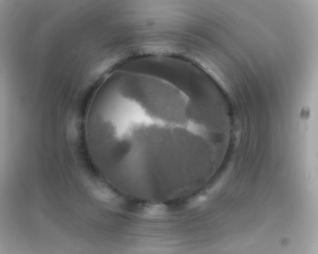 X0000095110355200712071222