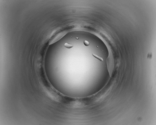 X0000095110356200712071222