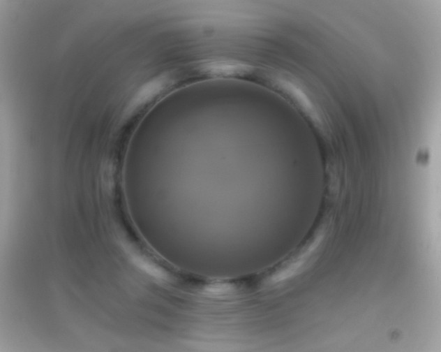 X0000095110357200712071222