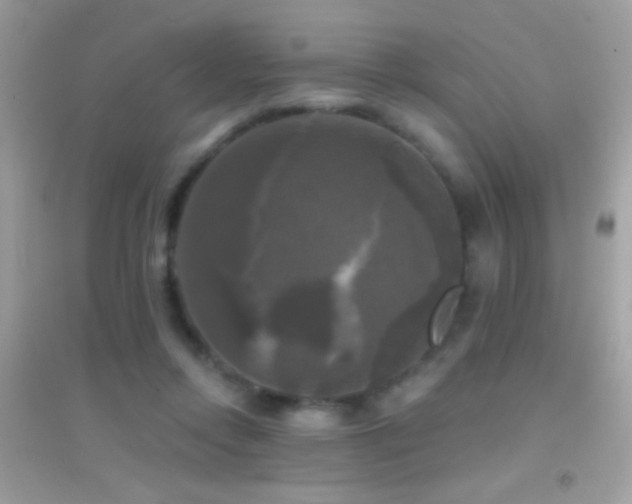 X0000095110358200712071222