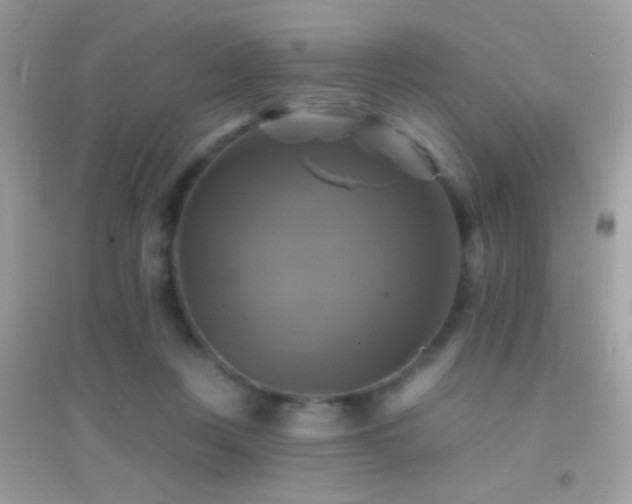 X0000095110359200712071222