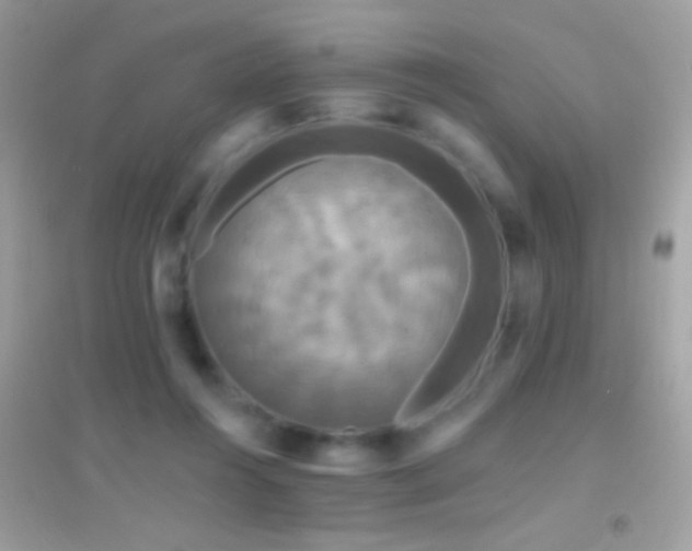 X0000095110360200712071222