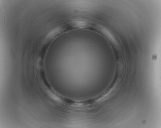 X0000095110361200712071223