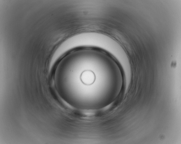 X0000095110362200712071223