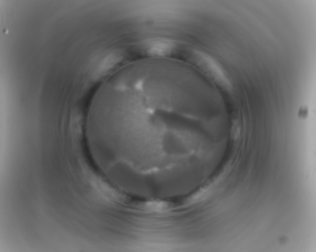 X0000095110363200712071223