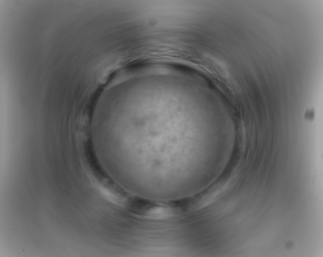 X0000095110364200712071223