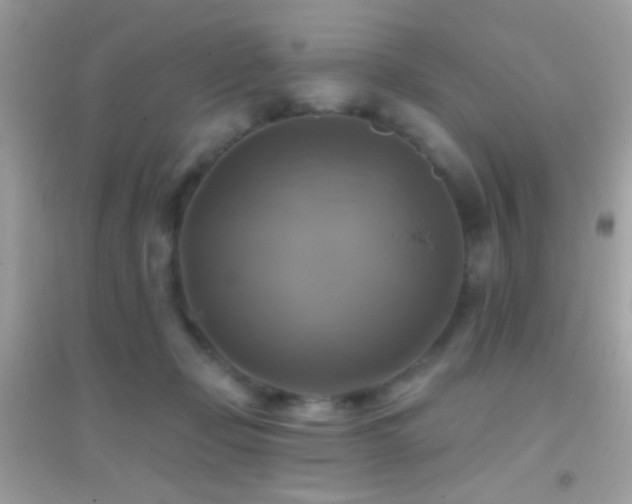 X0000095110365200712071223