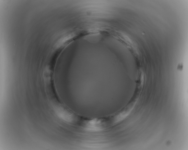 X0000095110366200712071223