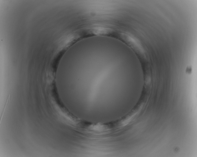 X0000095110367200712071223