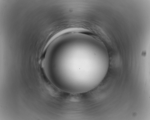 X0000095110368200712071223