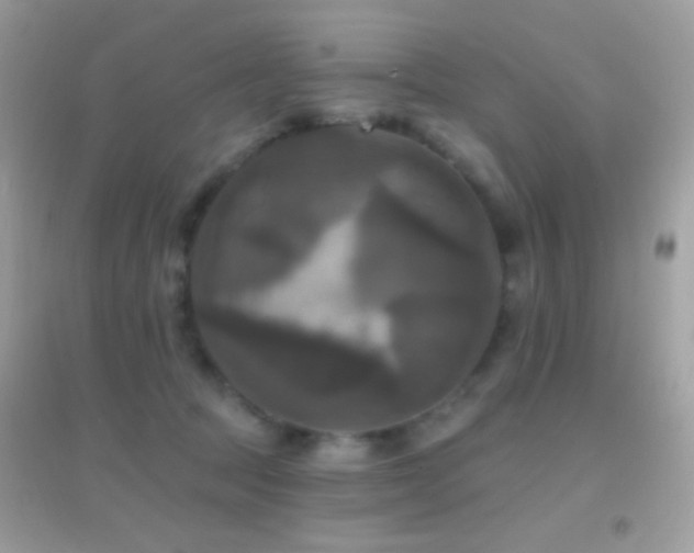 X0000095110369200712071223