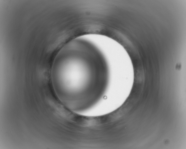 X0000095110370200712071223