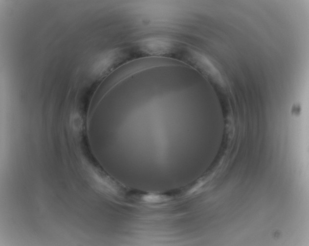 X0000095110371200712071223