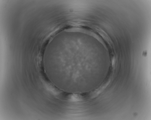 X0000095110372200712071223