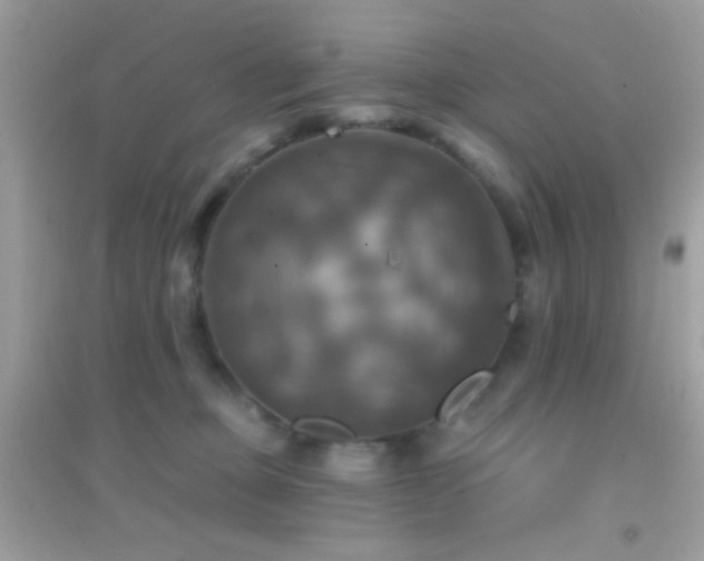 X0000095110373200712071223