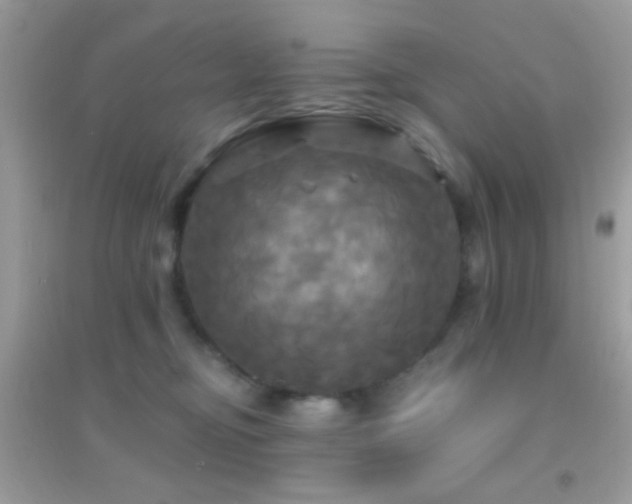 X0000095110374200712071223