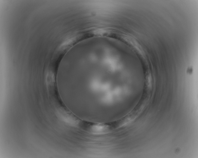 X0000095110375200712071223