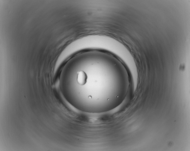 X0000095110376200712071223