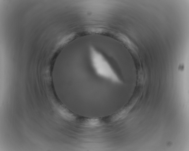 X0000095110377200712071223