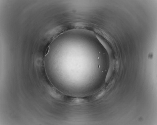 X0000095110379200712071223