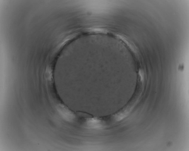 X0000095110380200712071223