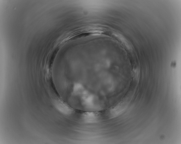 X0000095110381200712071223