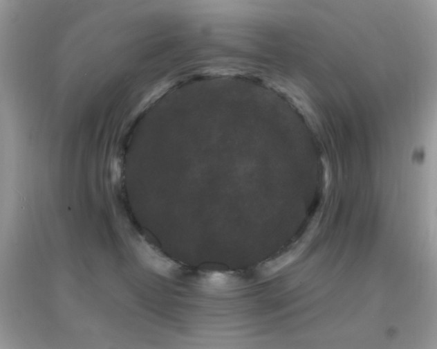 X0000095110382200712071223