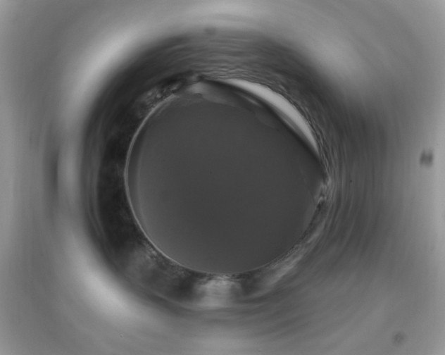 X0000095110383200712071223