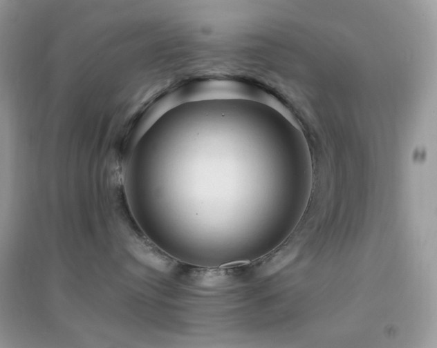 X0000095110384200712071223