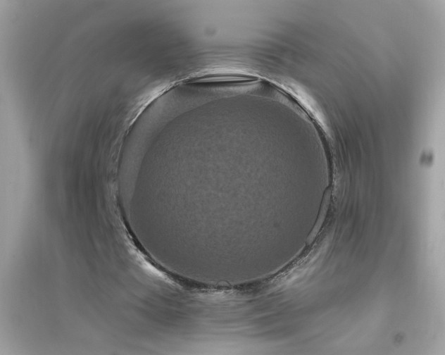 X0000095110385200712071222