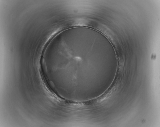 X0000095110386200712071222