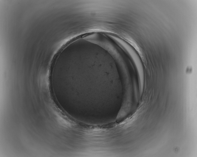 X0000095110387200712071222