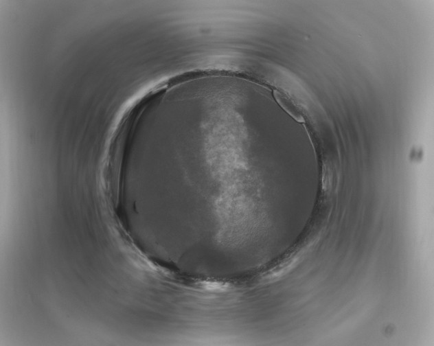 X0000095110388200712071222