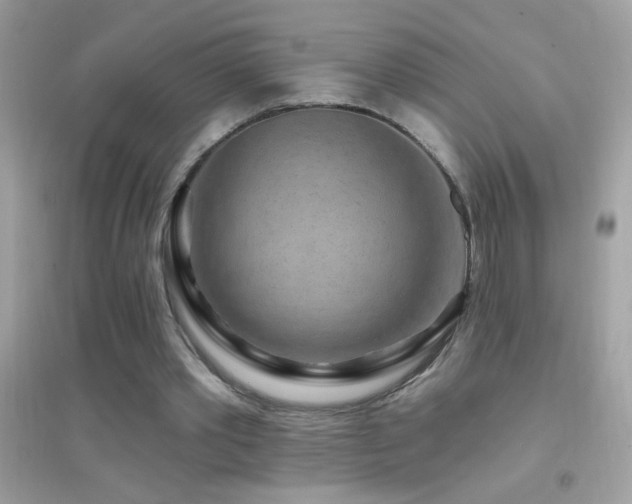 X0000095110389200712071222