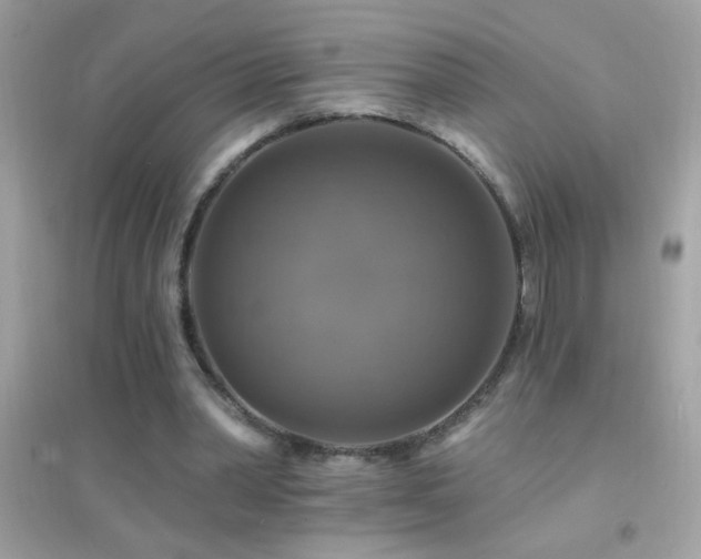 X0000095110390200712071222