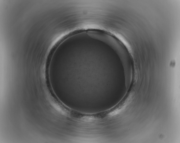 X0000095110391200712071222