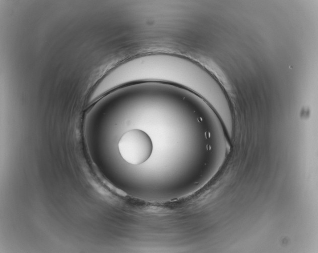 X0000095110393200712071222