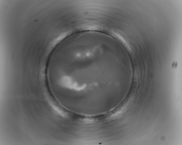 X0000095110394200712071222