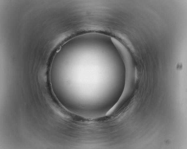 X0000095110395200712071222