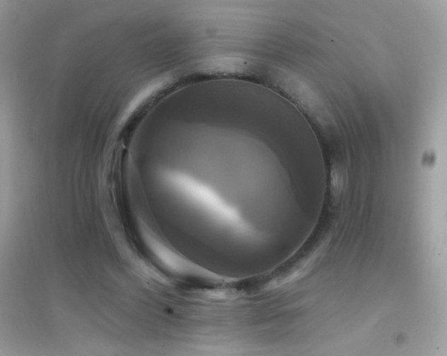 X0000095110396200712071222