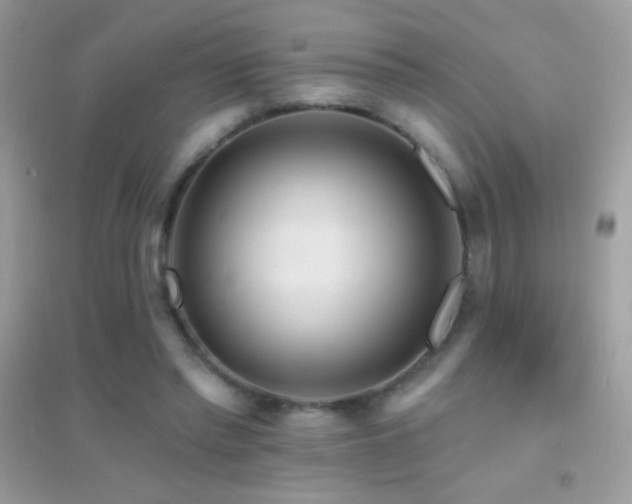 X0000095110397200712071222