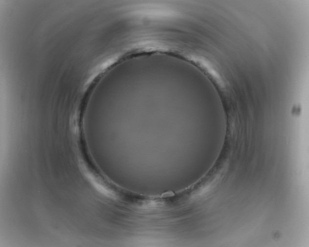 X0000095110398200712071222