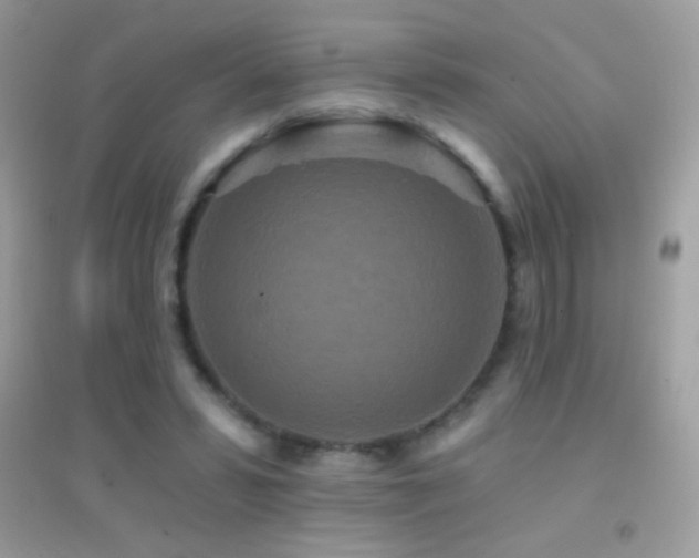 X0000095110399200712071222