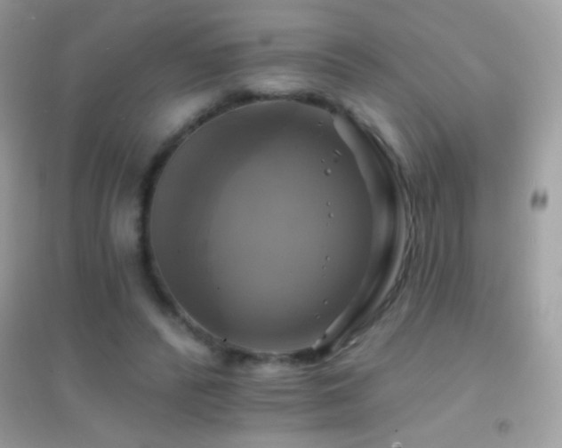 X0000095110400200712071222