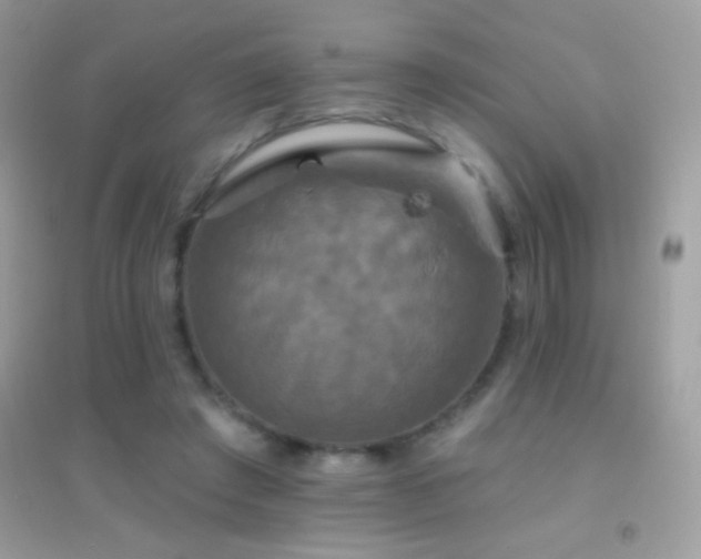 X0000095110401200712071222