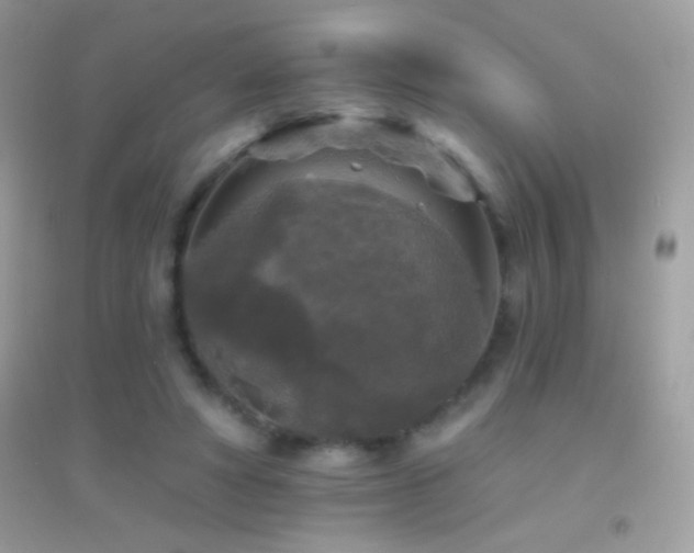 X0000095110402200712071222